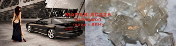 спиды Аркадак